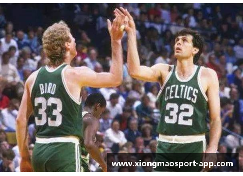 NBA 2011精彩回顾：历史巅峰之年回放