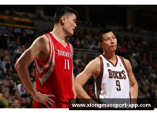 NBA亚洲版：探索篮球文化与赛事在东方的新兴影响