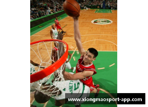 NBA精彩扣篮盛宴：全方位直播与深度解析