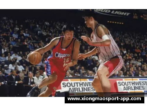 《从场上到荧幕：NBA传奇球员的真实人生与荣耀》