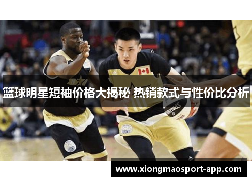 篮球明星短袖价格大揭秘 热销款式与性价比分析