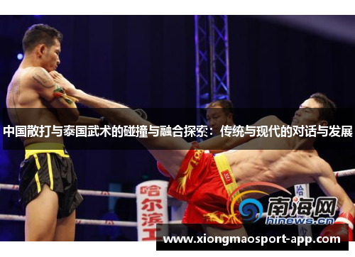 中国散打与泰国武术的碰撞与融合探索：传统与现代的对话与发展