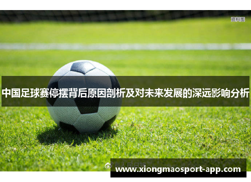 中国足球赛停摆背后原因剖析及对未来发展的深远影响分析